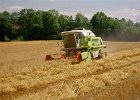 Claas Drescher 05